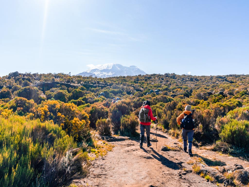 Two trekkers crossing the scenic Northern Circuit landscape of Kilimanjaro