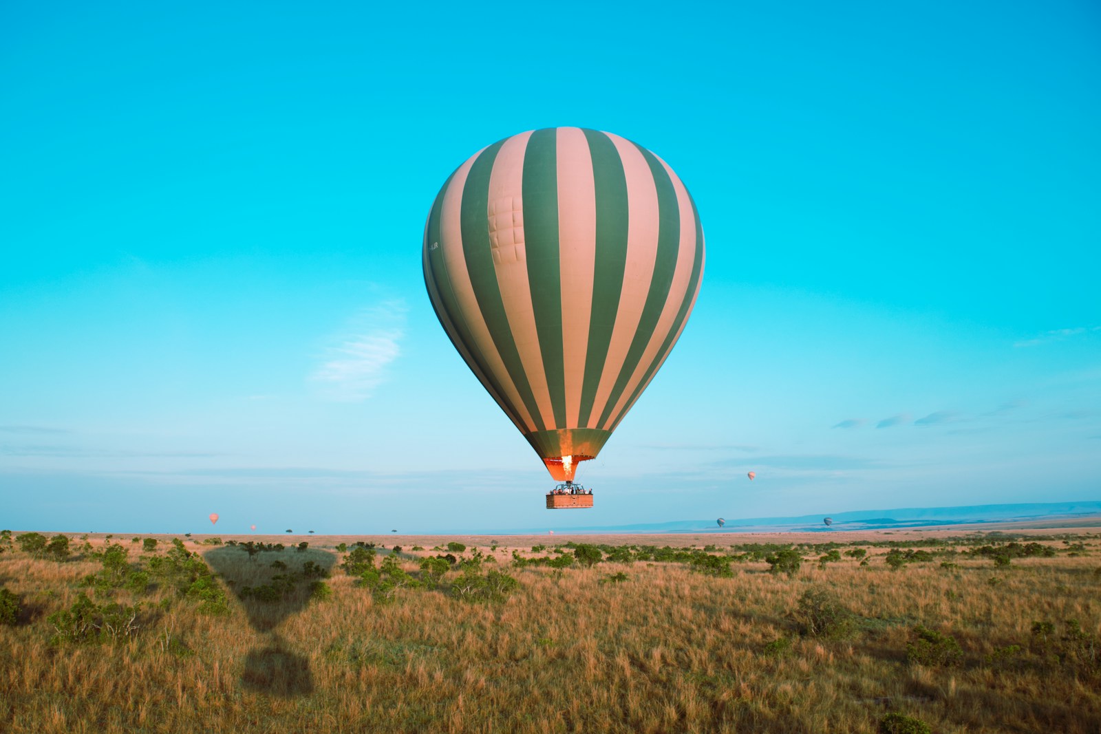 a hot air balloon in the air